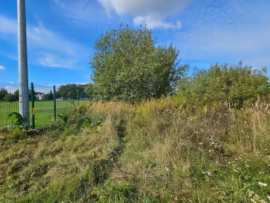 Apartamenty 43235/3186/OGS Wólka Kosowska