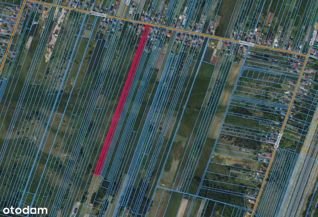 Działka 18 000,00 m², oferta nr , 42850/3186/OGS, Sączów, Wolności