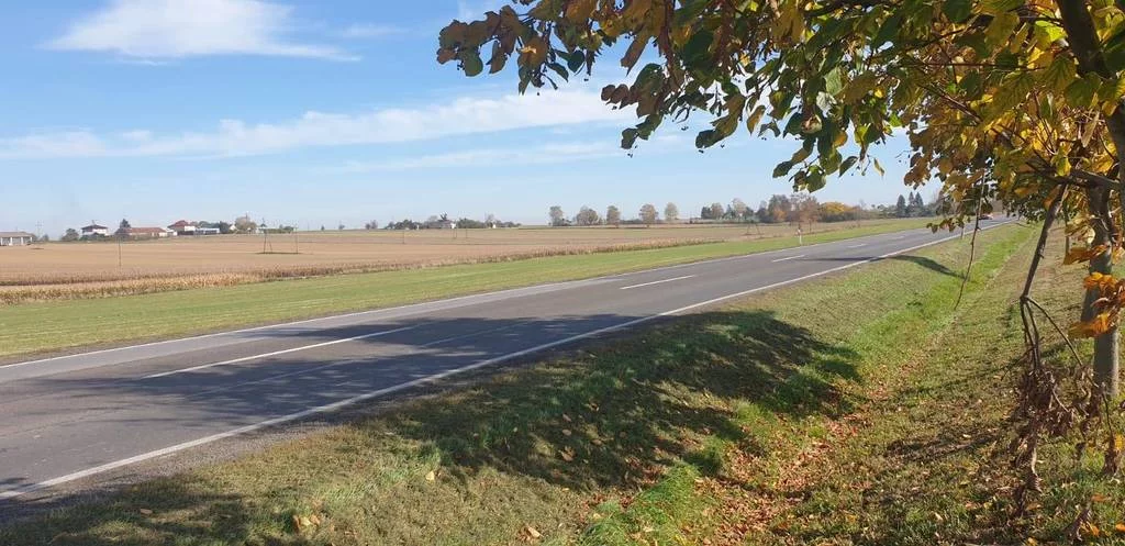Działka 18 186,00 m², oferta nr , 42946/3186/OGS, Werbkowice, Zamojska