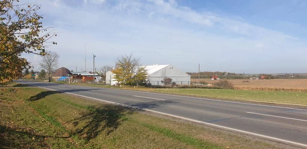 Działka 18 186,00 m², oferta nr , 42946/3186/OGS, Werbkowice, Zamojska