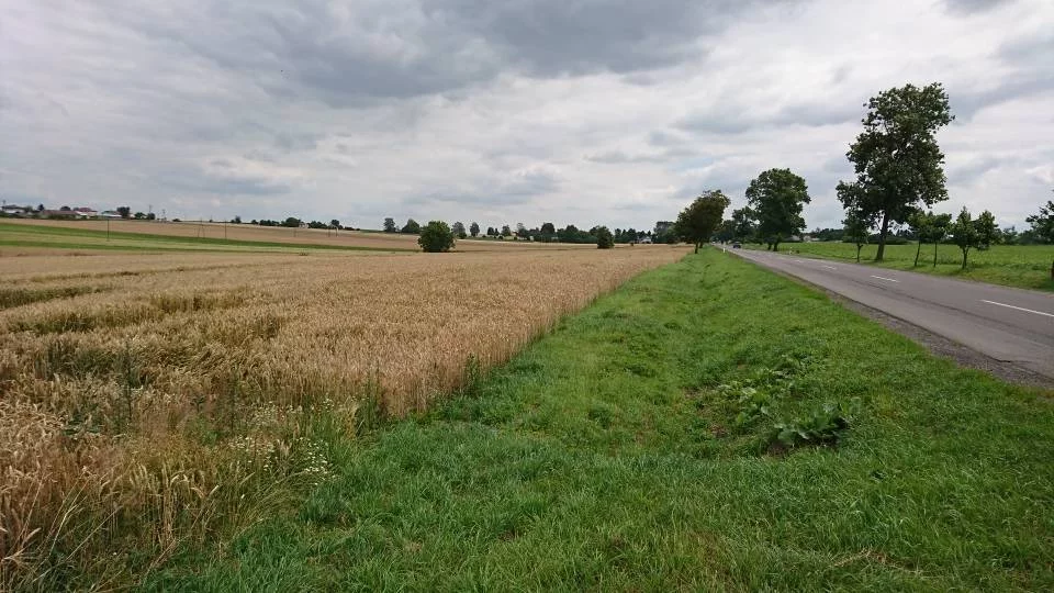 Działka 18 186,00 m², oferta nr , 42946/3186/OGS, Werbkowice, Zamojska
