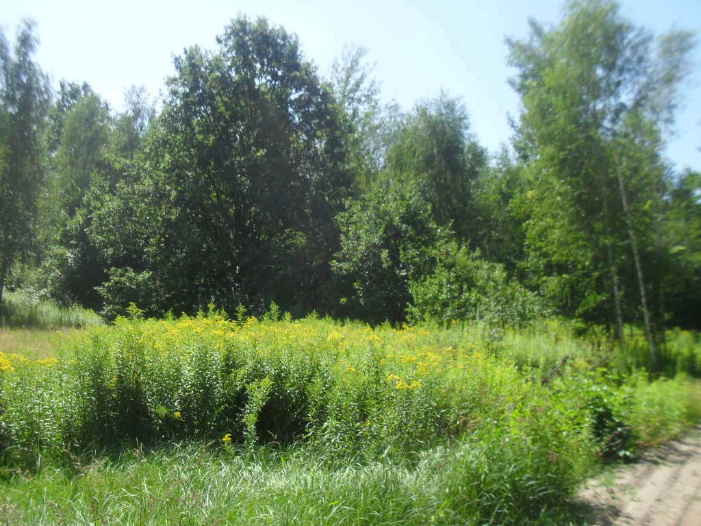 Działka 1 106,00 m², oferta nr , 43179/3186/OGS, Żary