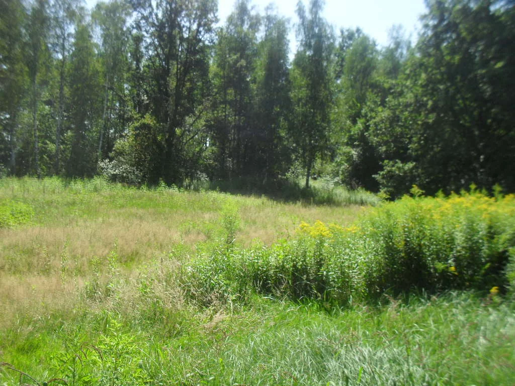 Działka 1 106,00 m², oferta nr , 43179/3186/OGS, Żary