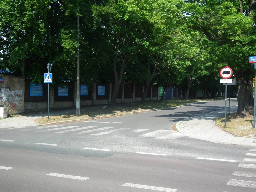2465/3186/OGW - zdjęcie nr 1