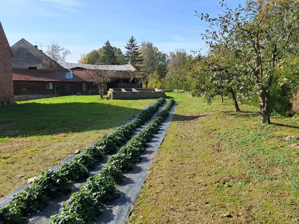 Lokal użytkowy 660,96 m², oferta nr , 10200/3186/OOS, Rudziczka