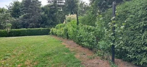 Lokal użytkowy 660,96 m², oferta nr , 10200/3186/OOS, Rudziczka