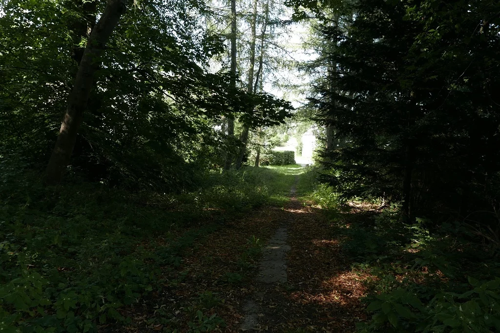 Lokal użytkowy 1 458,00 m², oferta nr , 10287/3186/OOS, Strzelino