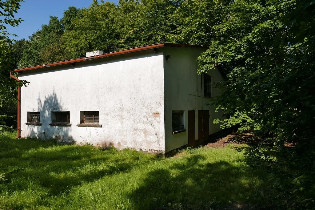 Lokal użytkowy 1 458,00 m², oferta nr , 10287/3186/OOS, Strzelino
