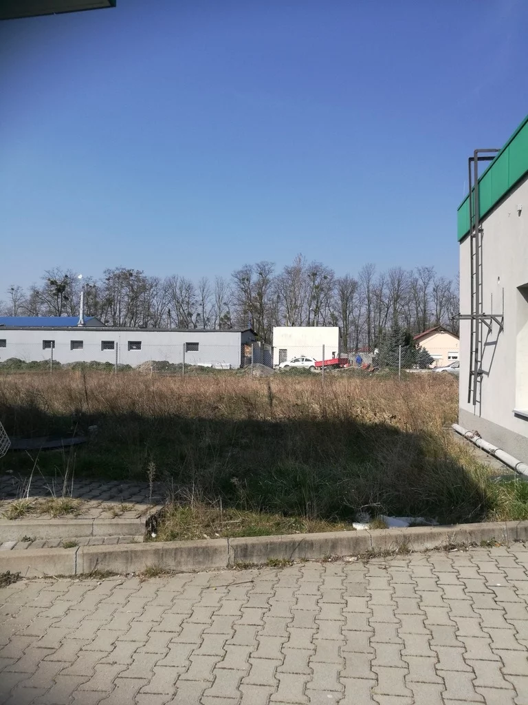10178/3186/OOS - zdjęcie nr 3