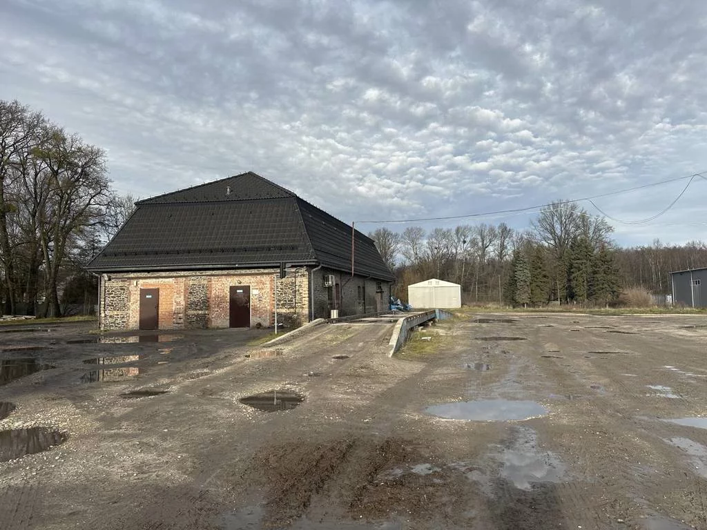 Magazyn 222 112,00 m², oferta nr , 10236/3186/OOS, Panoszów, Szkolna