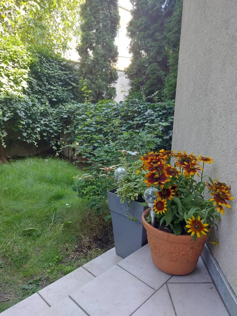 1 pokój, mieszkanie 30,00 m², parter, oferta nr , 11581/3186/OMS, Poznań, Grunwald, Grunwald