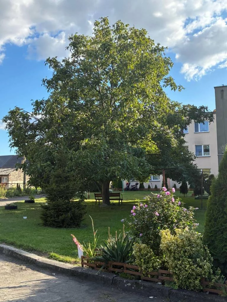 2 pokoje, mieszkanie 41,80 m², piętro 1, oferta nr , 11630/3186/OMS, Strykowo