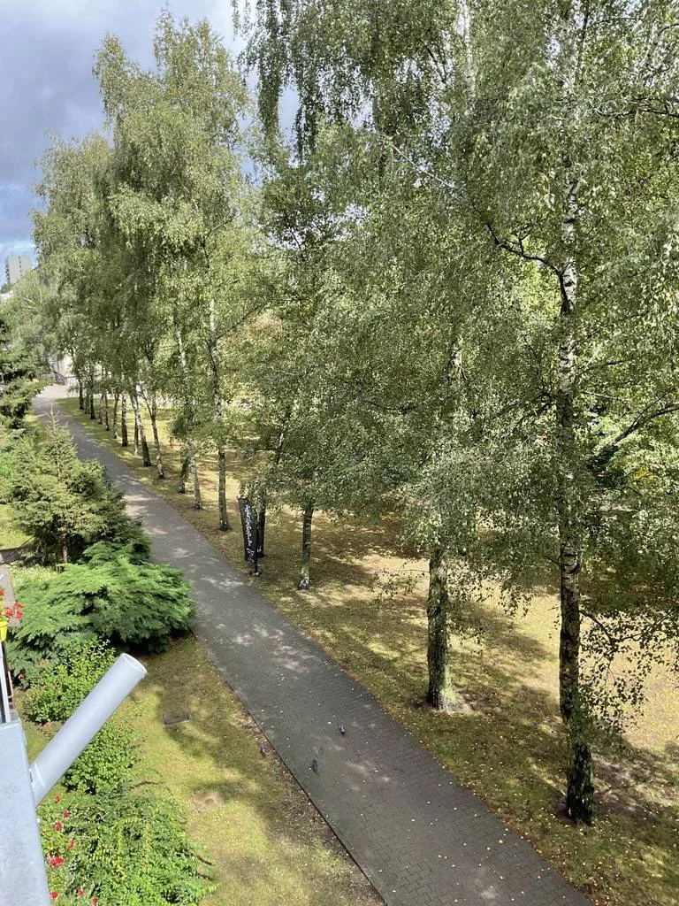 3 pokoje, mieszkanie 53,00 m², piętro 2, oferta nr , 11647/3186/OMS, Poznań, os. Wichrowe Wzgórze