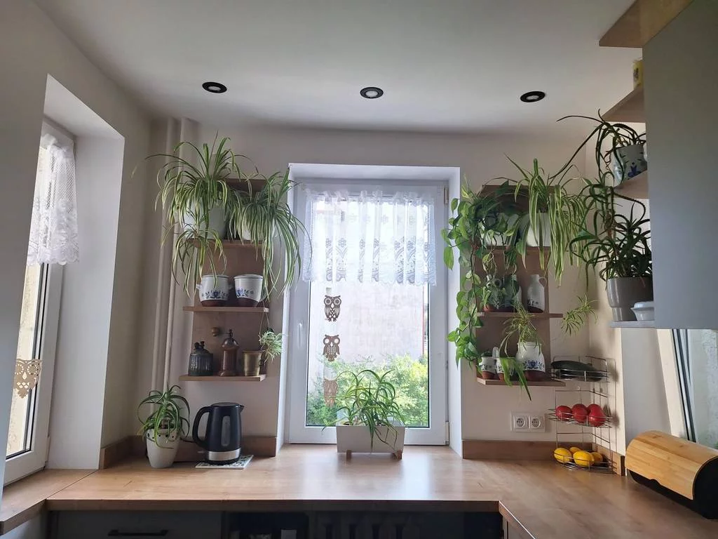 4 pokoje, mieszkanie 73,73 m², piętro 1, oferta nr , 11668/3186/OMS, Władysławowo, 1000-lecia Państwa Polskiego