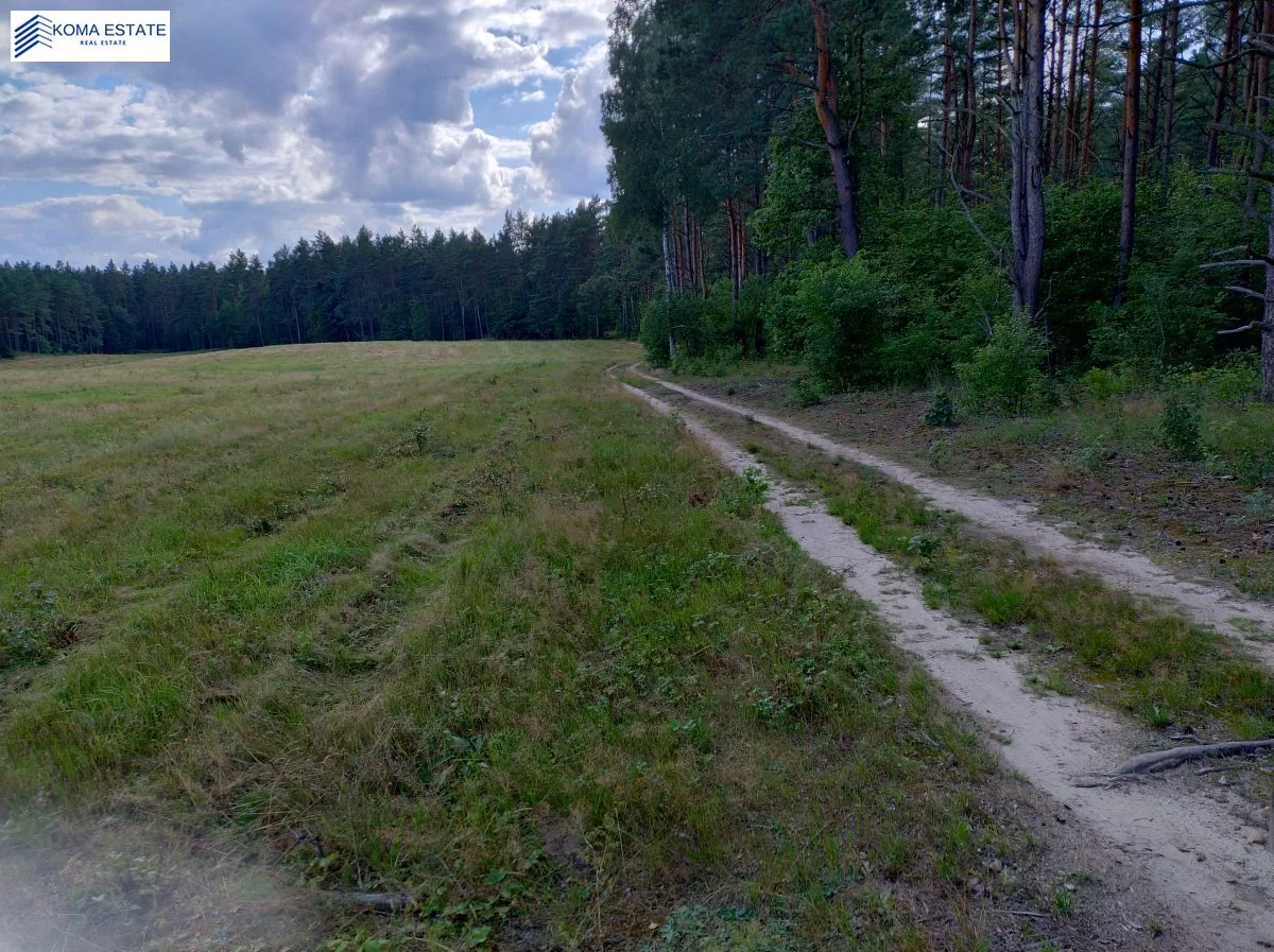 2/KES/DZS-41 - zdjęcie nr 3