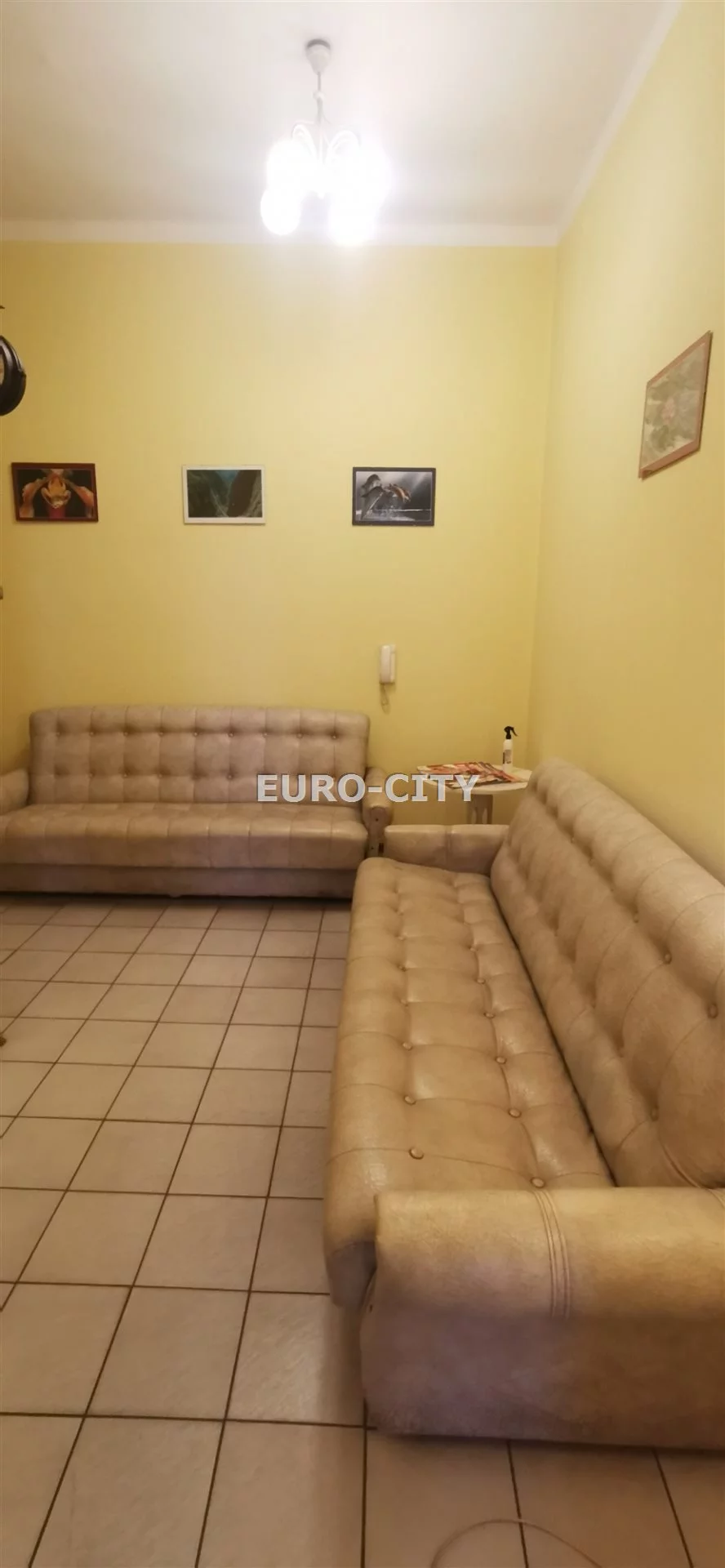 ECT-LS-33425 - zdjęcie nr 4