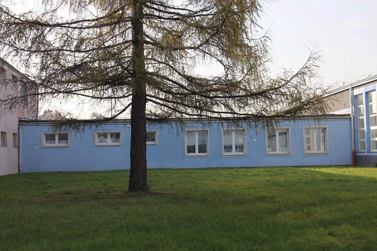 2911 - zdjęcie nr 0