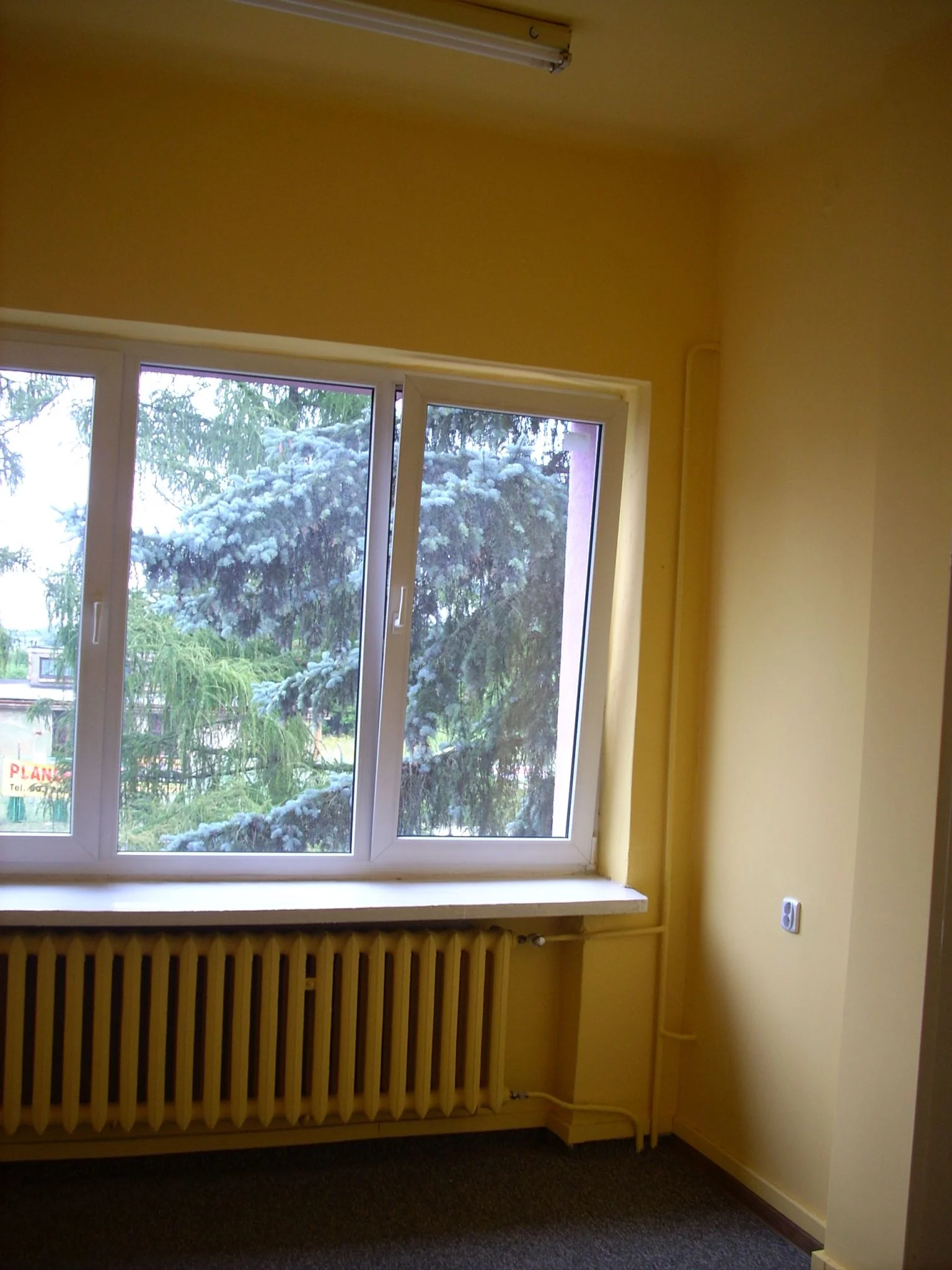 2912 - zdjęcie nr 0