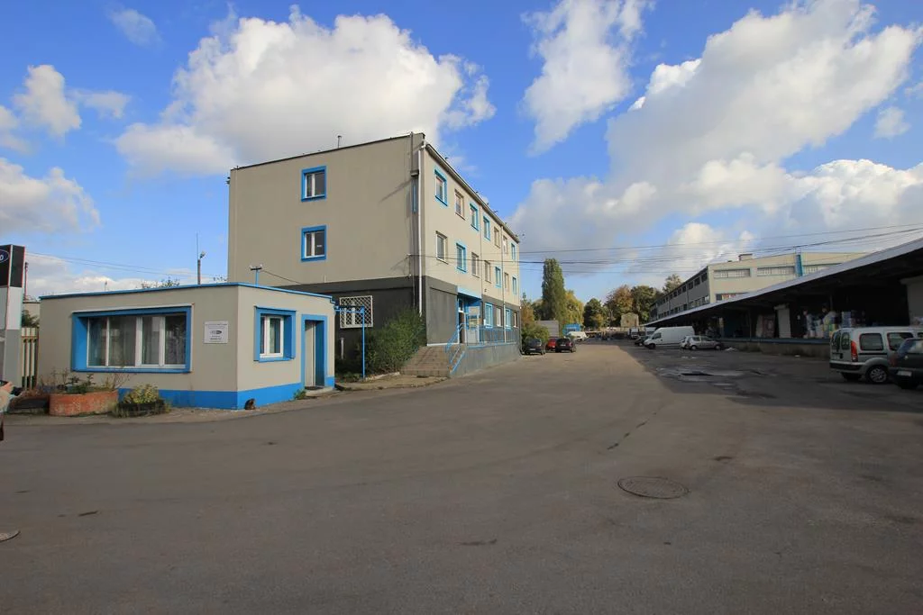 2378 - zdjęcie nr 2