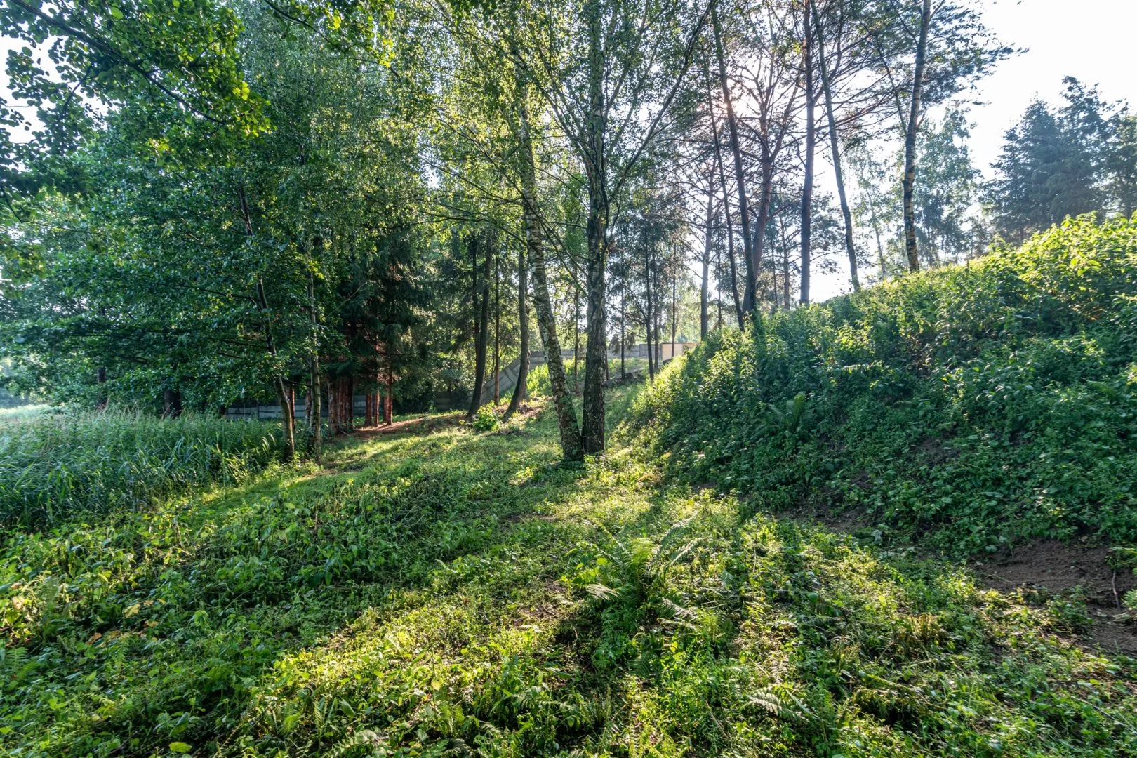 Działka 812,00 m², oferta nr , NGK-GS-271, Wieleń