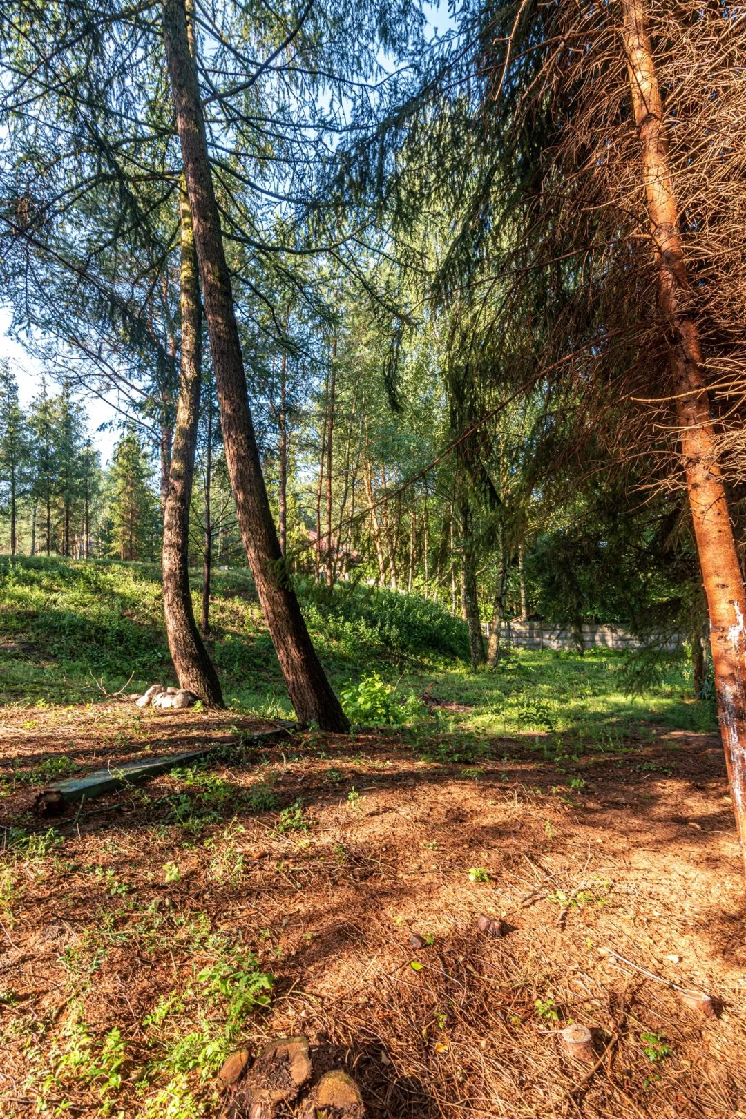 Działka 1 050,00 m², oferta nr , NGK-GS-272, Wieleń
