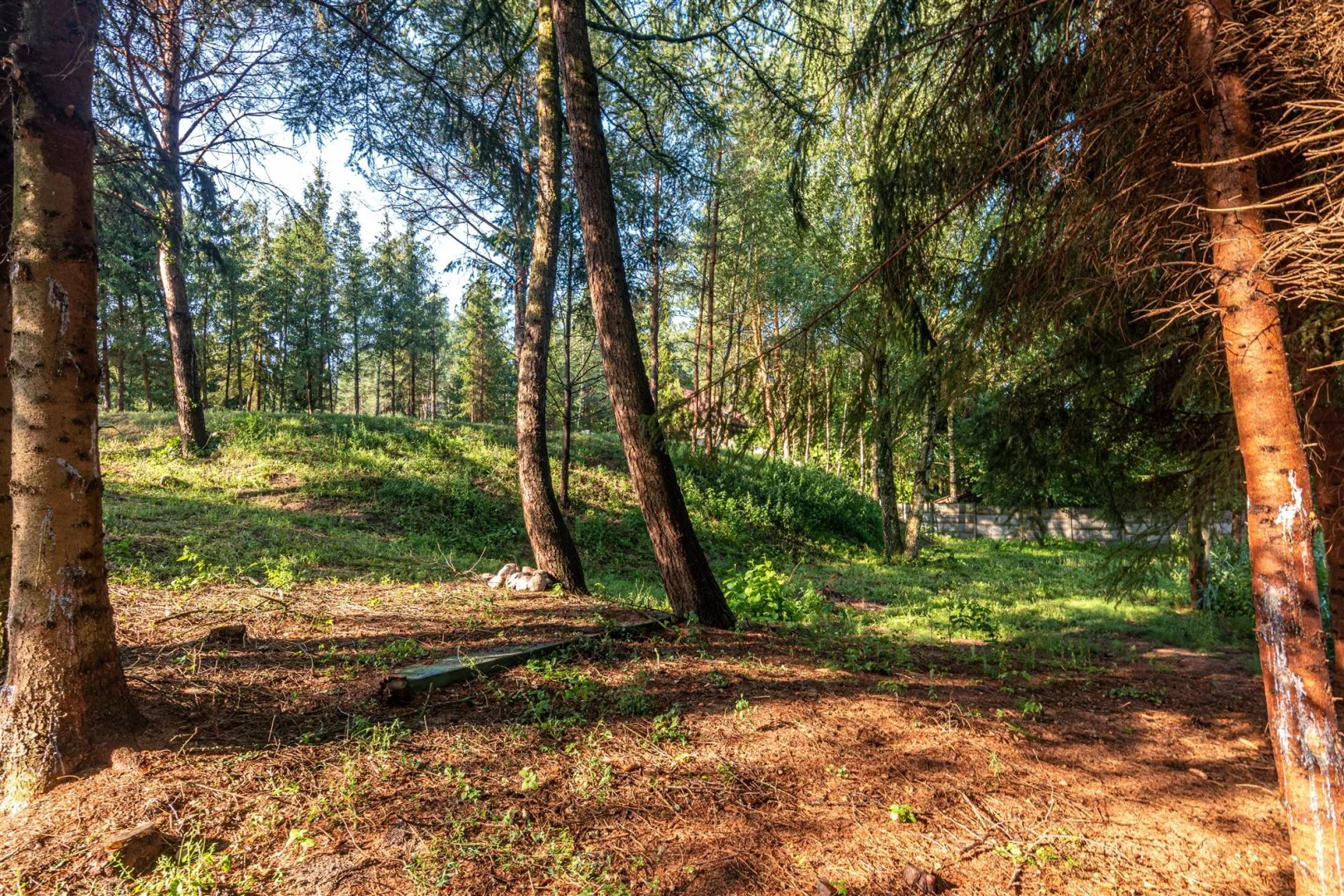 Działka 1 050,00 m², oferta nr , NGK-GS-272, Wieleń