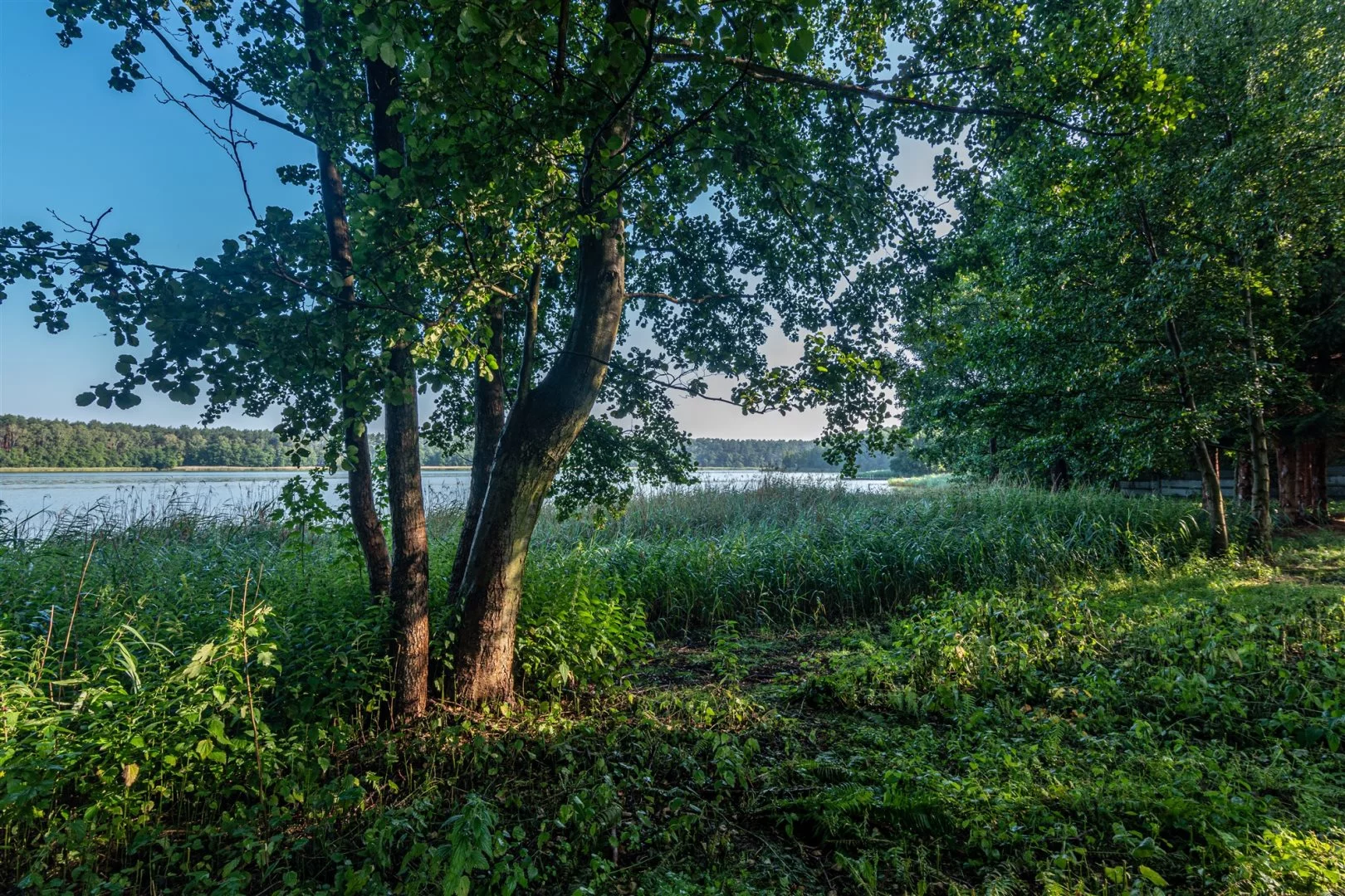 Działka 1 050,00 m², oferta nr , NGK-GS-272, Wieleń