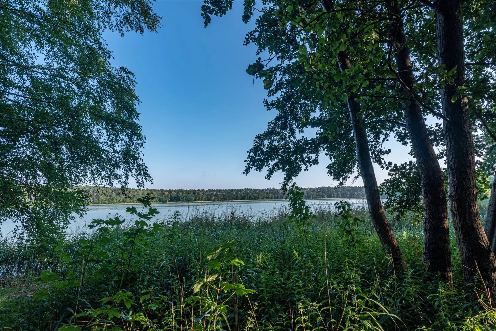 Działka 1 050,00 m², oferta nr , NGK-GS-272, Wieleń