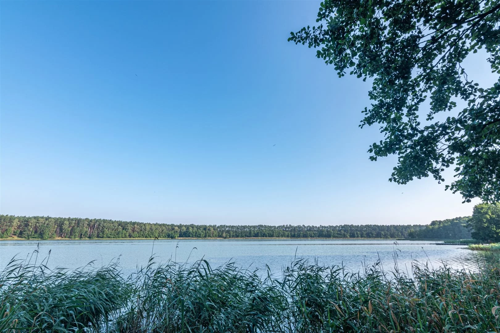 Działka 1 022,00 m², oferta nr , NGK-GS-273, Wieleń