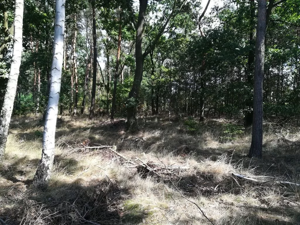 Działka 1 958,00 m², oferta nr , NGK-GS-226, Goleniów, Wrzosowa