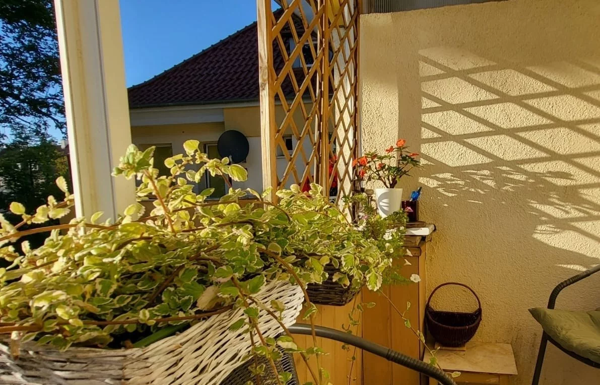 2 pokoje, mieszkanie 49,42 m², piętro 2, oferta nr , NGK-MS-421, Szczecin, Zachód, Pogodno, Mickiewicza