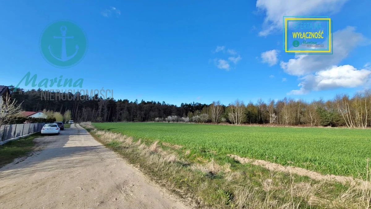 EC353098971 - zdjęcie nr 4