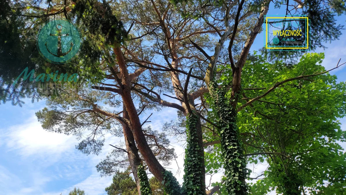 Działka 855,00 m², oferta nr , EC308381227, Jastrzębia Góra, Piastowska