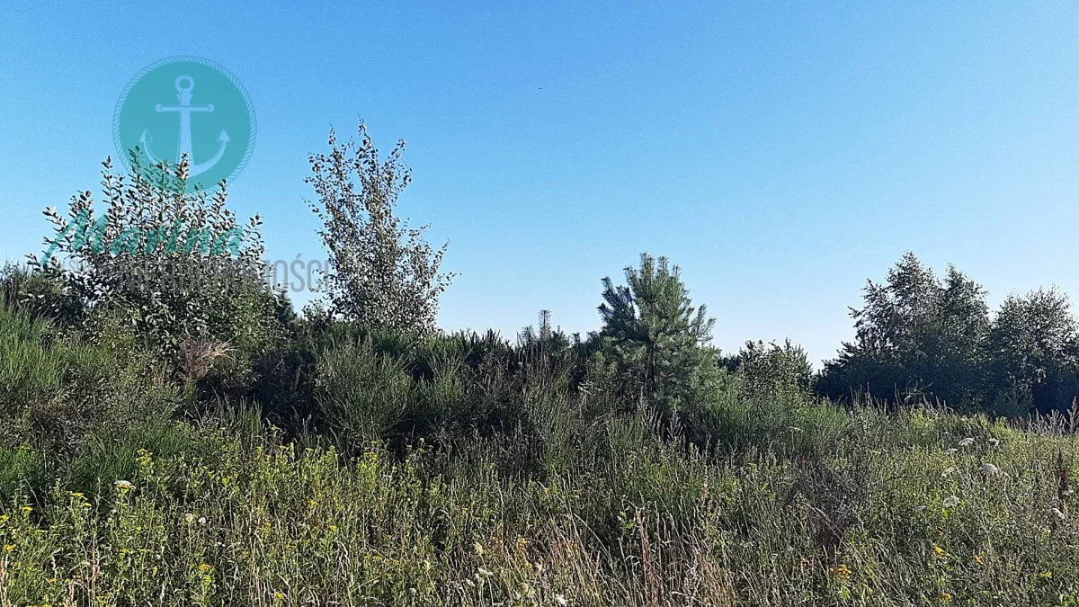 Działka 11 000,00 m², oferta nr , EC458340120, Puck