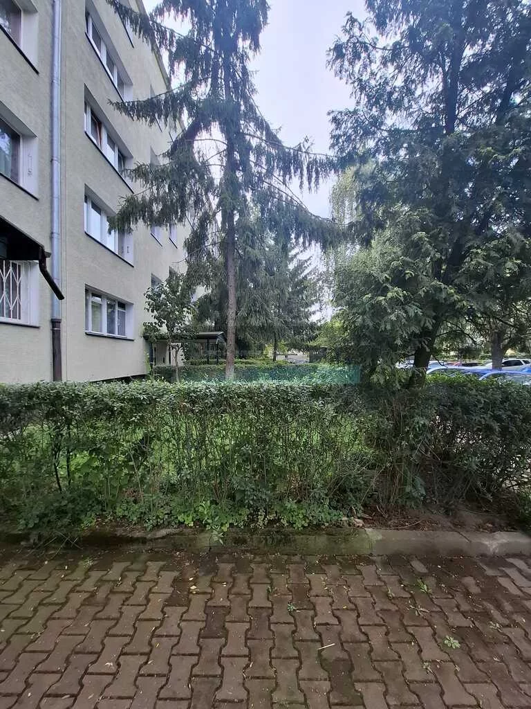53325/4508/OMS - zdjęcie nr 3