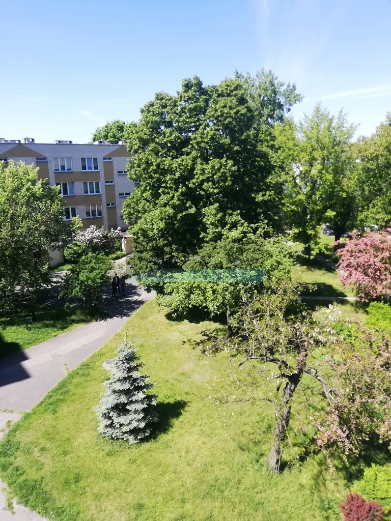 Apartamenty 54412/4508/OMS Wieliszew Krzysztofa Kamila Baczyńskiego