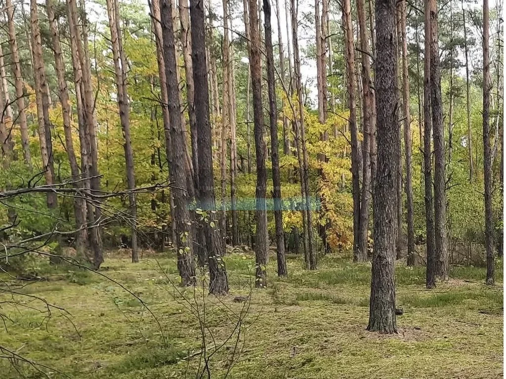 3 pokoje, mieszkanie 50,23 m², parter, oferta nr , 54670/4508/OMS, Jabłonna, Leśna