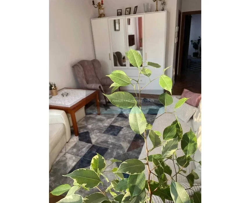 3 pokoje, mieszkanie 58,00 m², piętro 2, oferta nr , 54295/4508/OMS, Warszawa, Targówek, Targówek, Toruńska