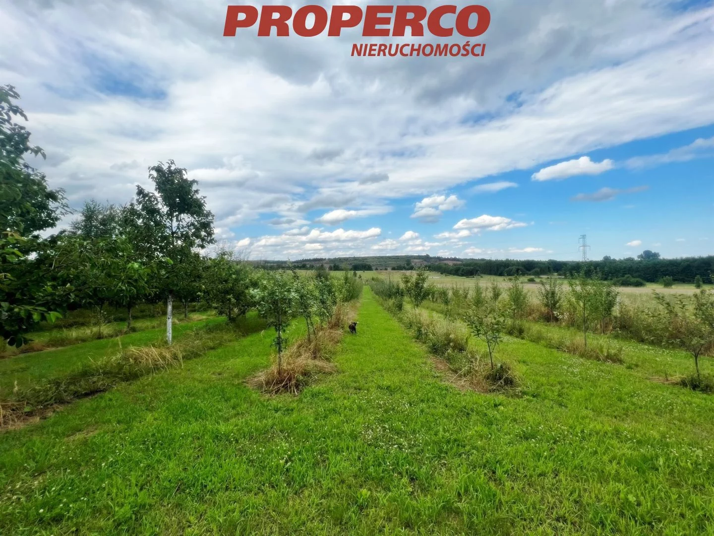 Dom 35,00 m², oferta nr , PRP-DS-74752, Chęciny