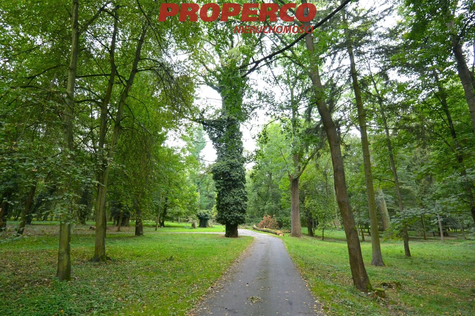 Dom 850,00 m², oferta nr , PRP-DS-74010, Długołęka