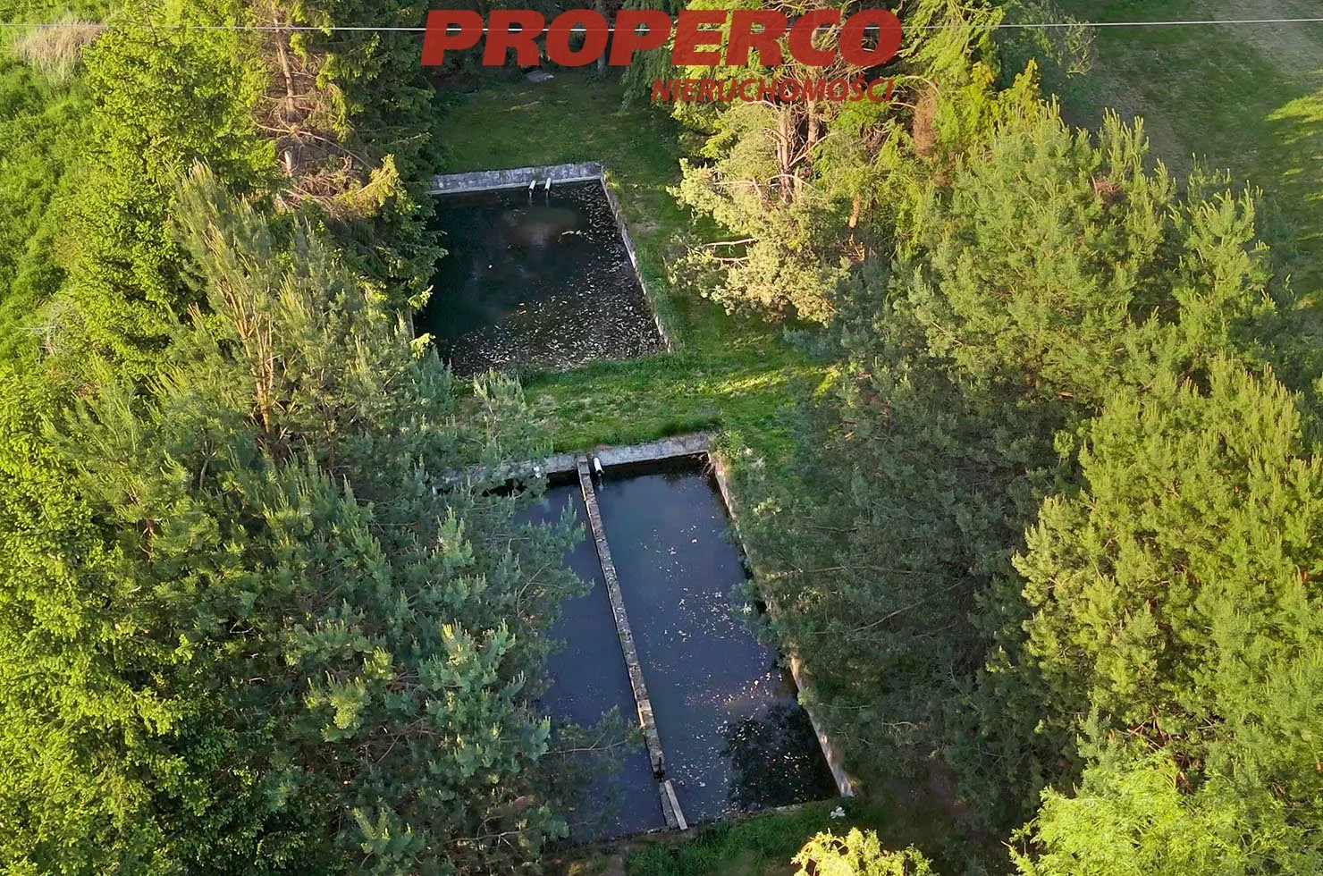 Dom i rezydencja 260,00 m², oferta nr , PRP-DS-60496-26, Morawica