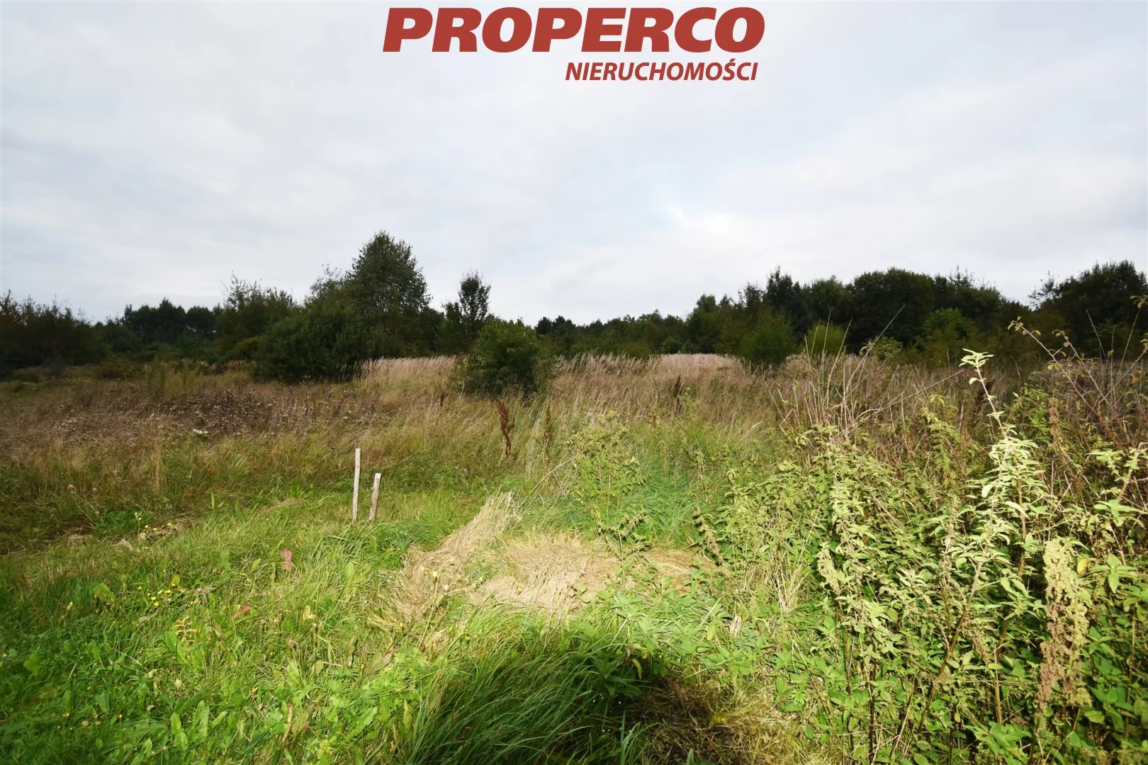 Działka 38 900,00 m², oferta nr , PRP-GS-67765, Bliżyn