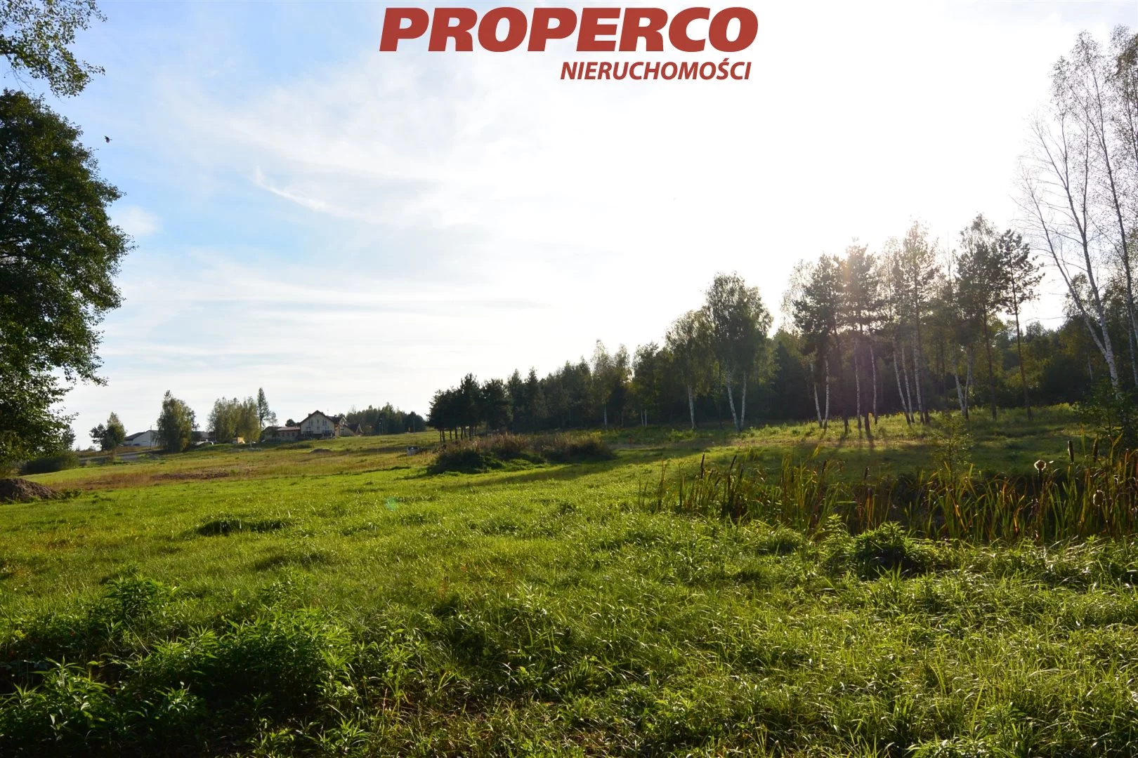 Działka 3 866,00 m², oferta nr , PRP-GS-74096, Brody