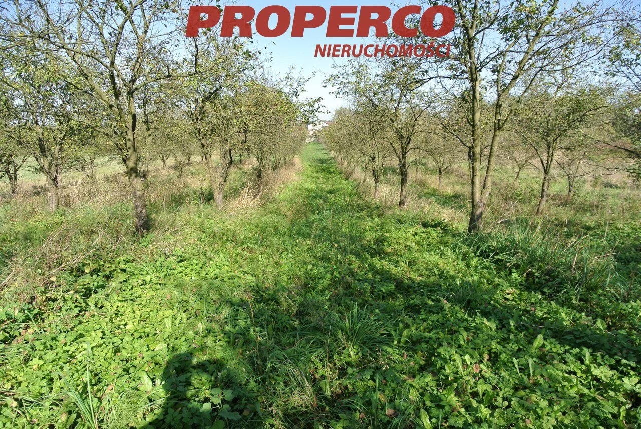 Działka 5 400,00 m², oferta nr , PRP-GS-72158, Busko-Zdrój