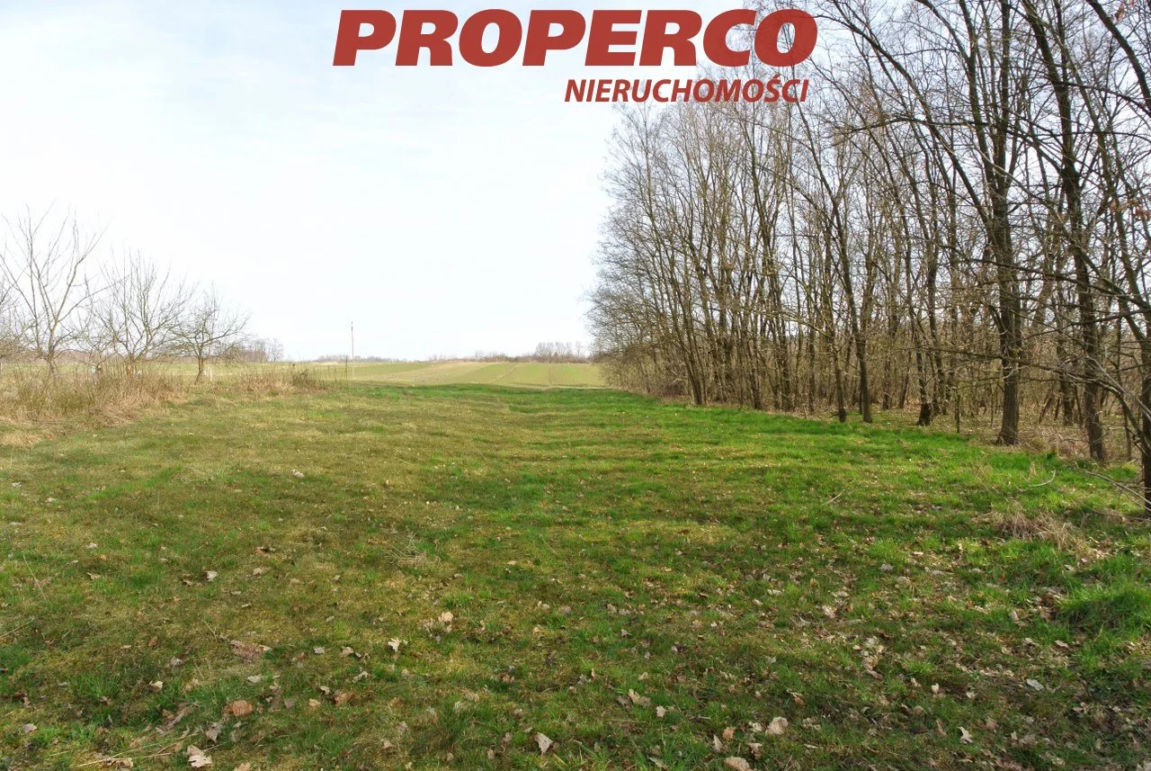 Działka 25 055,00 m², oferta nr , PRP-GS-73070, Busko-Zdrój