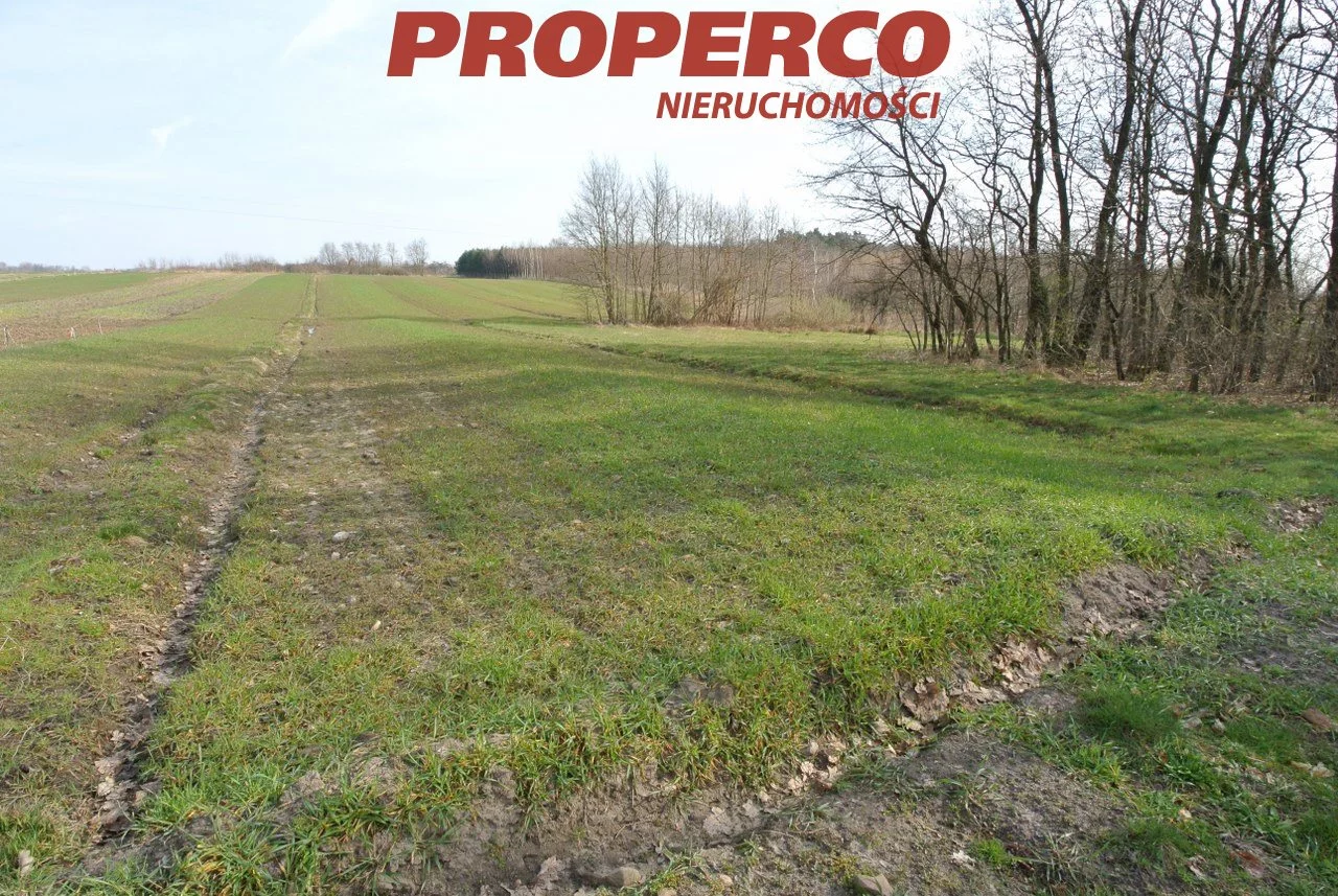 Działka 25 055,00 m², oferta nr , PRP-GS-73070, Busko-Zdrój