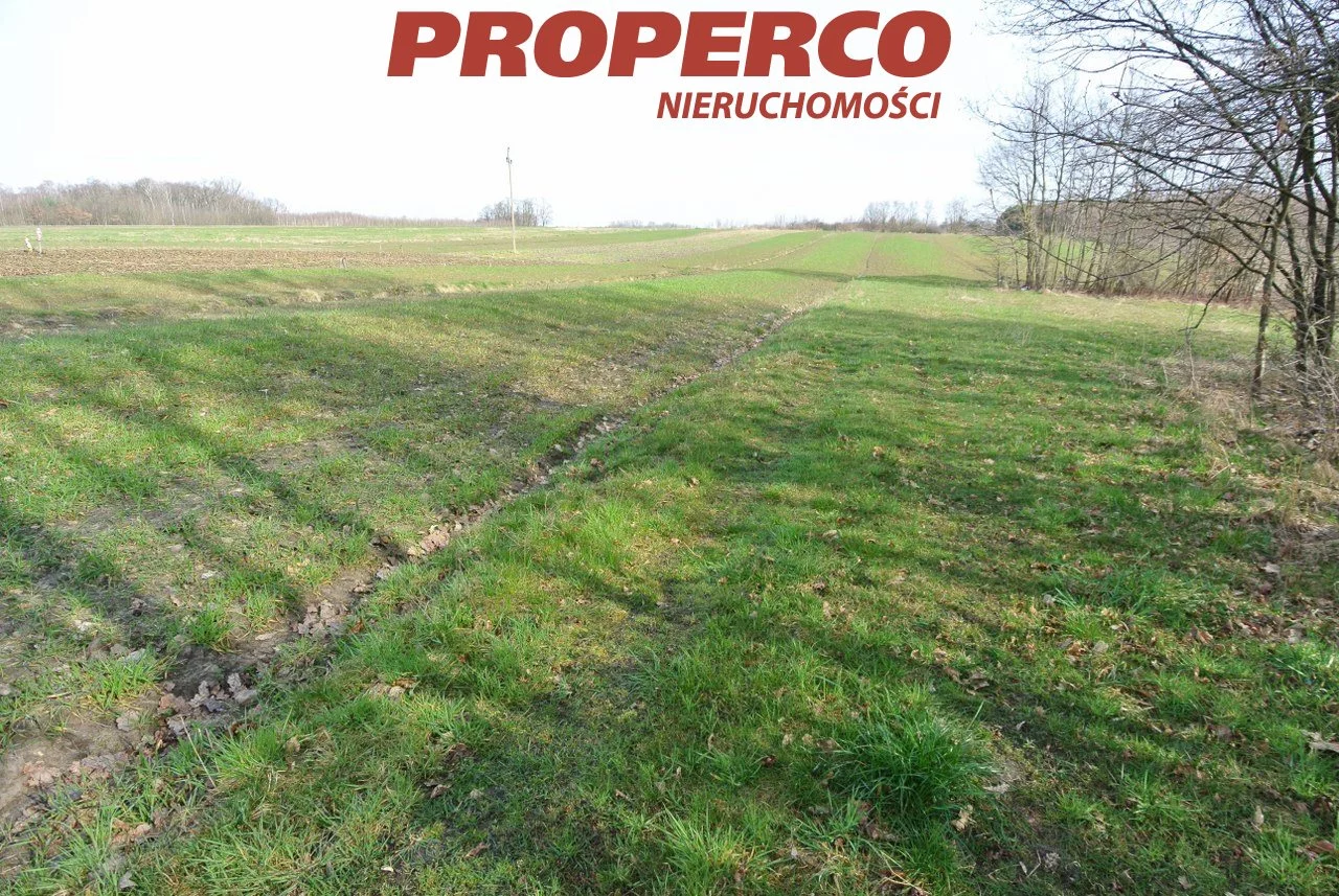 Działka 25 055,00 m², oferta nr , PRP-GS-73070, Busko-Zdrój