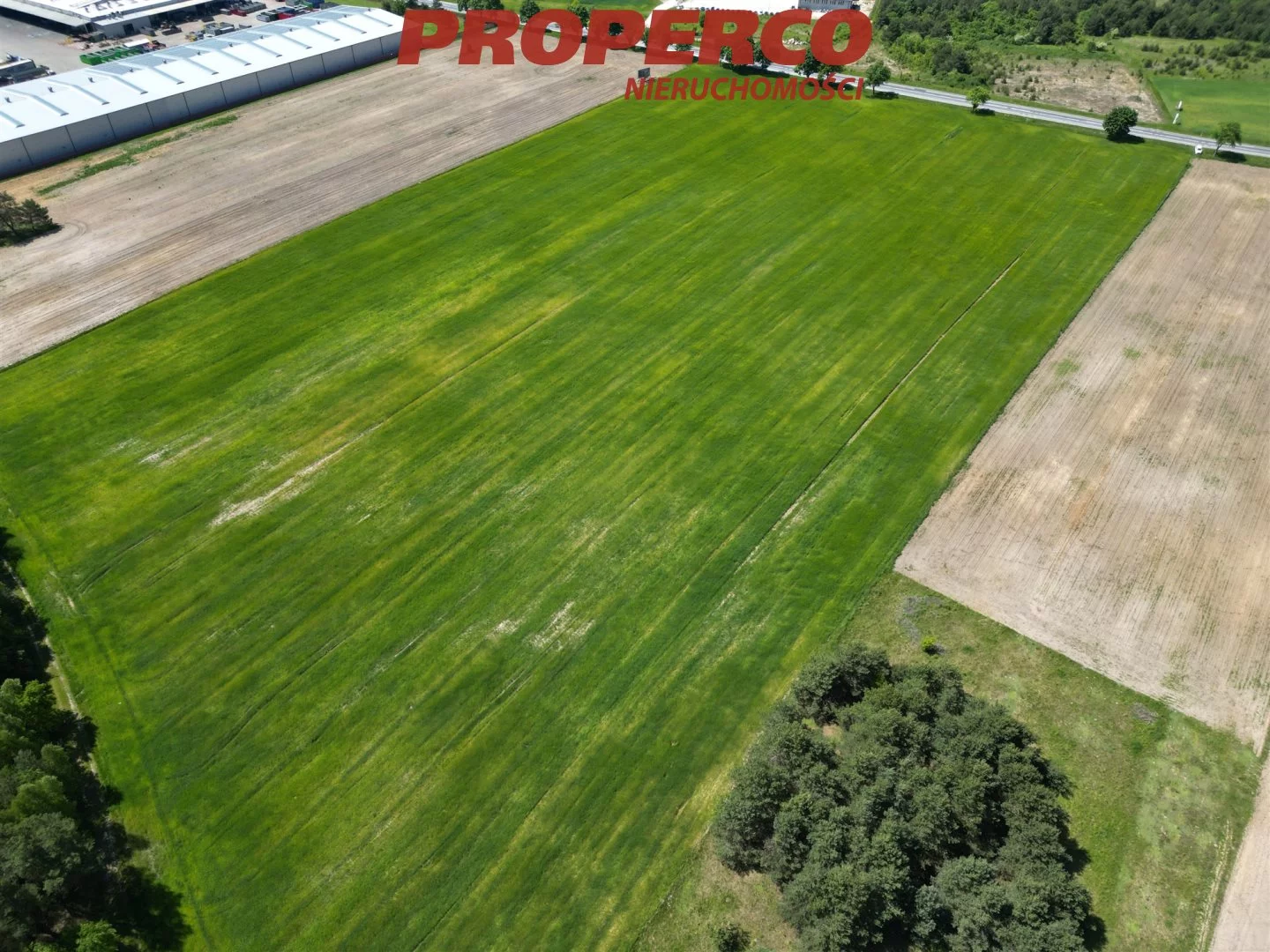 Działka 60 642,00 m², oferta nr , PRP-GS-75097, Busko-Zdrój