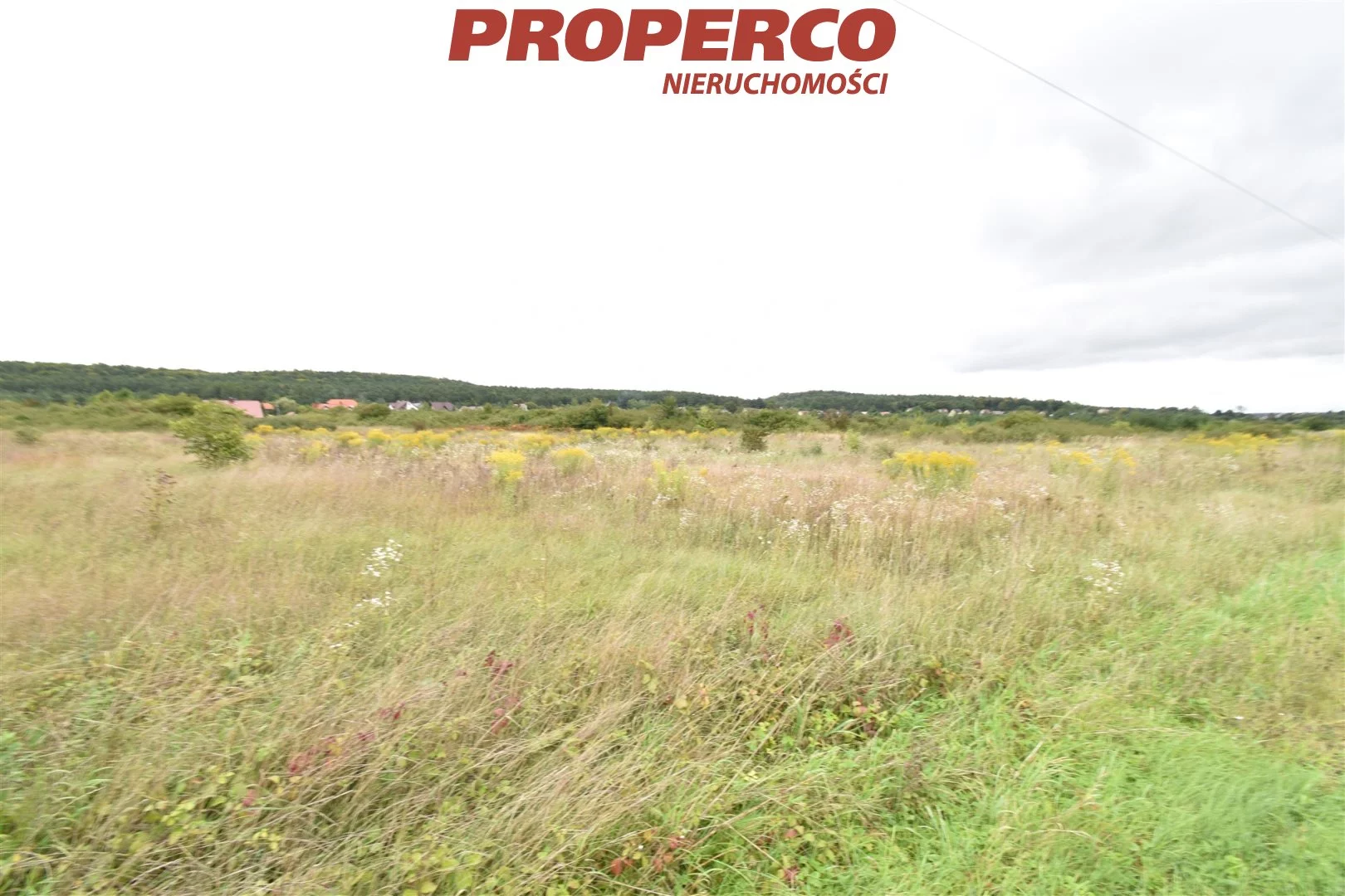 Działka 8 433,00 m², oferta nr , PRP-GS-67696, Chęciny