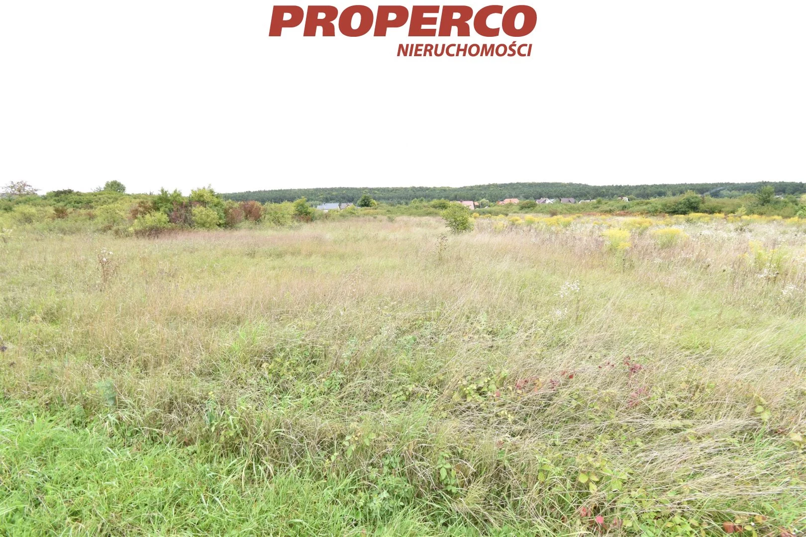 Działka 8 433,00 m², oferta nr , PRP-GS-67696, Chęciny